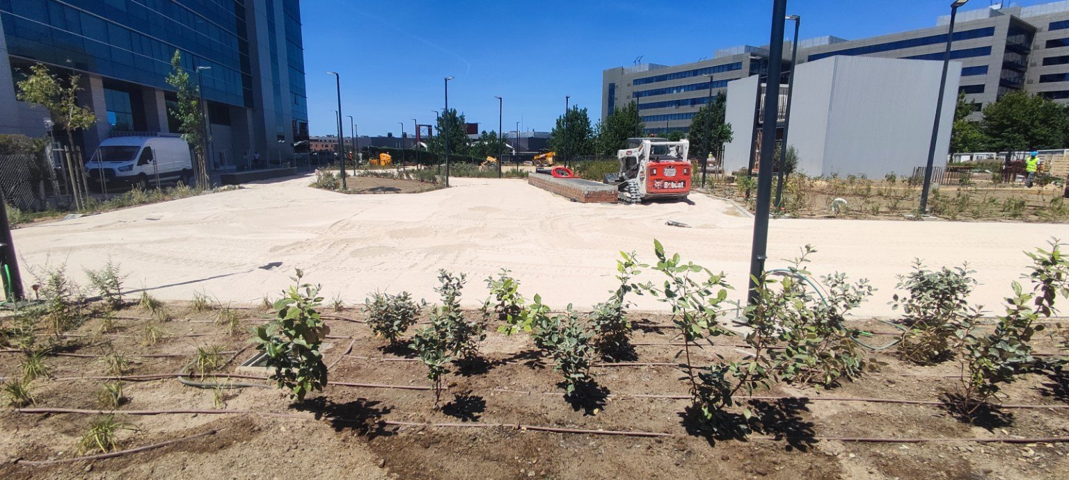 Urbanización y plantaciones